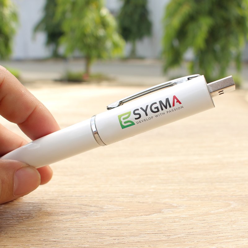 Bút Bi Ký Tên Cao Cấp USB VP-508