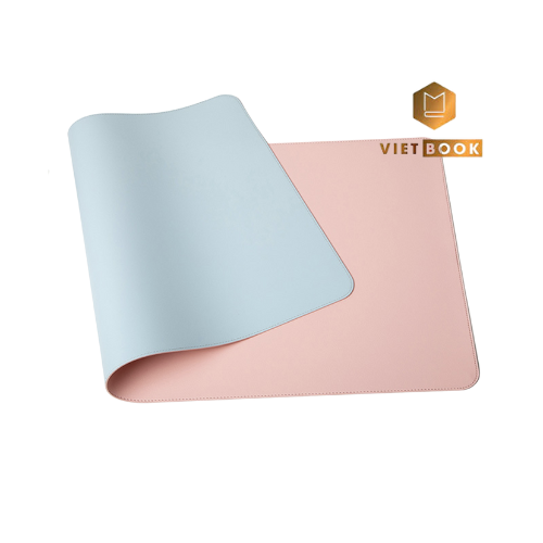 vb-21-lot-chuot-da