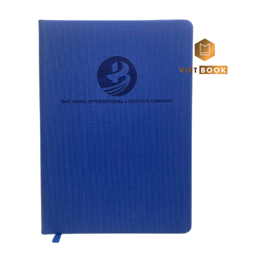 so-da-handmade-bac-giang-international-logistics-company-3